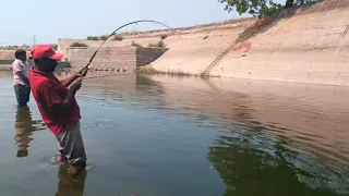 Amazing fishing/Catching Rahu fish and Black rahu fish/ Fishing videos/ Rahu fish/Black rahu/machli