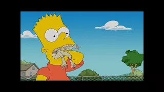 The Simpsons - Bart eating frog for $20 ✔2017