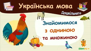 Знайомимося з одниною та множиною. Українська мова для дошкільнят — навчальні відео