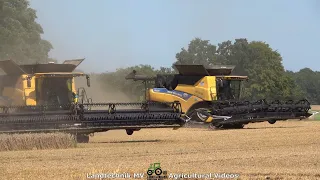 New Holland - John Deere -++ / Getreideernte - Grain Harvest  2021