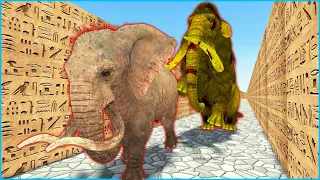 Zombie Elephant mammoth chasing Elephant in maze Temple run | Dino ep.11