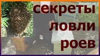 СЕКРЕТЫ ловли бродячих роев! Все мои ловушки. Как сделать ловушку для пчел