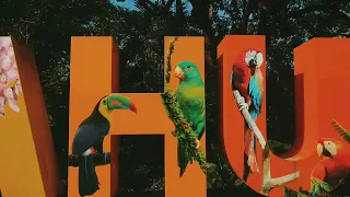 Puerto Misahualli - Un destino para enamorarse del mundo amazónico ( Ruterito En Ecuador)