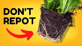 10 Things You Should NEVER Do to Your Plants