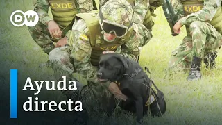 Soldados colombianos entrenan a ucranianos a desminar en suelo europeo