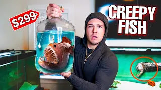 UNBOXING The SCARIEST FISH I'VE EVER OWNED...What's Inside?