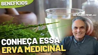 Conheça a erva que seca inchaço naturalmente | Dr. Marco Menelau