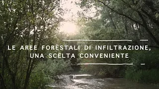 AREE FORESTALI D'INFILTRAZIONE, UNA SCELTA CONVENIENTE