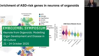 Keynote Lecture: Understanding Human Brain Development and Disease: From Embryos To Organoids