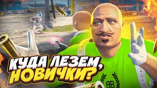 РЕШИЛИ ПРОВЕРИТЬ ВЫСЕРОВ НА ЧЕСТНОСТЬ В GTA 5 RP / ТУЛЕВО ГТА 5 РП MAJESTIC RP