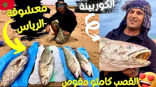 مغامرة: صيد أسماك الكوربين الضخمة بأخطر الأماكن😱والنتيجة الفراجة🔥اليوم بأكمله 😍