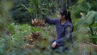 In the Deep Mountains of China, Ginger can be Used in This Way?