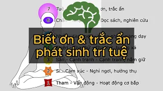 Lòng biết ơn và trắc ẩn phát sinh trí tuệ và hạnh phúc