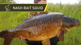 CARP FISHING BAIT NashBait Squid - Nash 2014 Carp Fishing DVD Movie