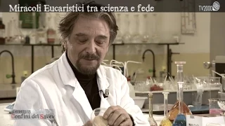 Miracoli eucaristici, tra scienza e fede