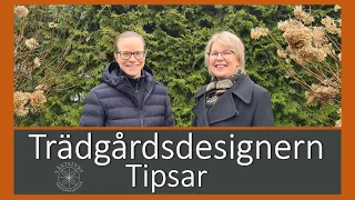 Växtlivet trädgårdsdesign. Skapa din drömträdgård Trädgårdsdesignern berättar. Trädgårdsinspiration