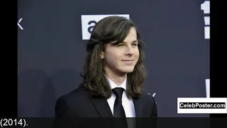 Chandler Riggs biography