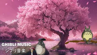 1 hour of Studio Ghibli | Relaxing Piano Music (relax, study, sleep)