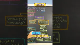 Anemia macrocítica - Clase 3/5