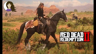 Totale Failmission, aber das Pferd ist schön  - Red Dead Redemption 2