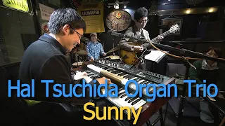 Sunny (先日のライブ動画)