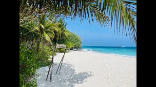 Reethi Beach Resort - Inseltraum auf den Malediven