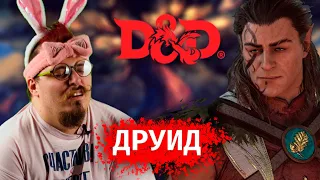 Друид в D&D - люби природу, а не зверей!