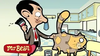 NEW Cat! | Mr Bean Cartoon Season 1 | Full Episodes | Mr Bean Official