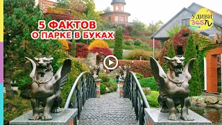 Ландшафтный парк в селе Буки: 5 удивительных фактов. Landscape park in the village of Buki