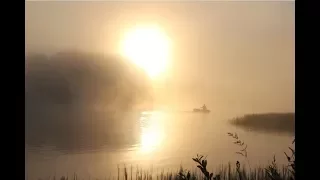 Карпфишинг. Ловля карпа на диком водоеме. Экстремальное вываживание