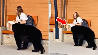 Woman Gave An Abandoned Bear Cub Food,She Won’t Know 20 Years Later He Brought A Surprise To Her!