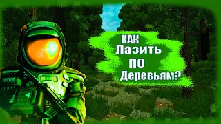 STALCRAFT Как лазить по деревьям?