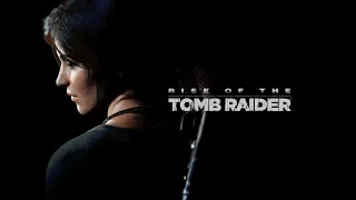 Rise of the Tomb Raider RTX 3060Ti, Ryzen 5 3600XT | 1080p | FPS TEST