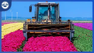 Unique And Powerful Agricultural Machinery Like You Never Seen Before