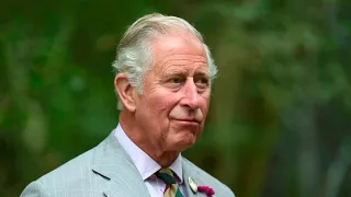 Prince Charles' comments on climate change 'go beyond the pale'