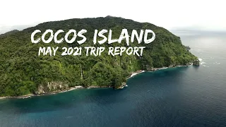 Going to Cocos Island on the Argo in 2021... (4K)