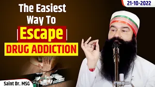 How to escape Drug Addiction | Live from Barnawa, UP | 21st  October 2022 | Saint Dr. MSG