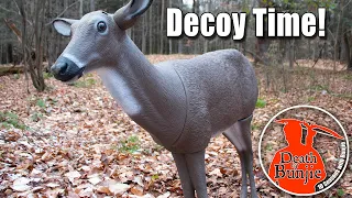 Bunjie Gets a Buck Over a Decoy! FINAL 2019 CROSSBOW HUNT!