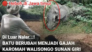 Gempar di jawa timur!  Karomah Sunan Giri menunjuk Batu menjadi Gajah