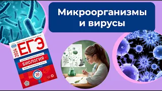 ВИРУСЫ И МИКРООРГАНИЗМЫ | ЕГЭ ПО БИОЛОГИИ