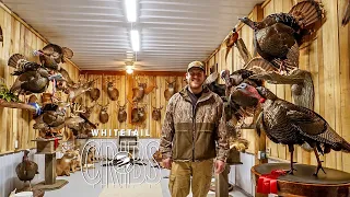 Whitetail Cribs: West Virginia Turkey Taxidermy Tour