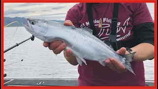 Proven Lure to Catch Landlocked Salmon!  Huge Kokanee Salmon from Fishing in Lake Berryessa.