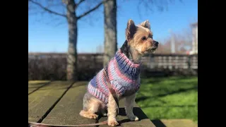 DIY KNIT DOG Sweater with Bigger Leg Opening