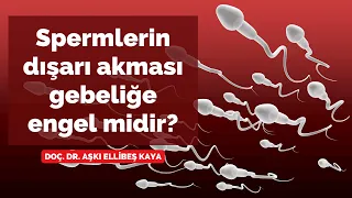 Spermlerin dışarı akması gebeliğe engel midir? Gebe kalmak istiyorum! - Doç. Dr. Aşkı Ellibeş Kaya