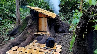 I built a secret shelter, inside the giant tree's roots