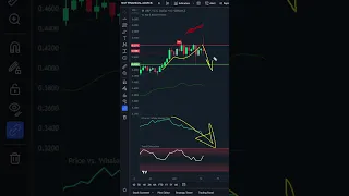 XRP Holds After SEC Ruling!! But Whales To CRASH -8.35%? | Ripple Price Prediction