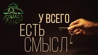 У ВСЕГО есть СМЫСЛ - Хамза Юсуф