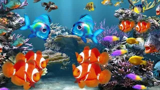 4K UNDERWATER WONDERS - Coral Reefs, Tropical Fish, Sea Turtles with Piano Music