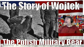 The Story of Wojtek | The Polish Military Bear - REACTION