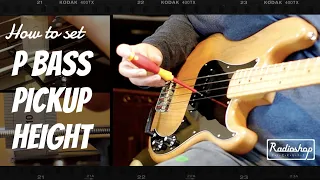 How to set P Bass Pickup Height
